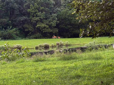 Tiny photo for 0000 County Road 600 S Road, Kewanna, IN 46939 (MLS # 202634705)