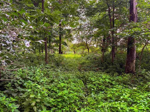 Tiny photo for 0000 County Road 600 S Road, Kewanna, IN 46939 (MLS # 202634705)