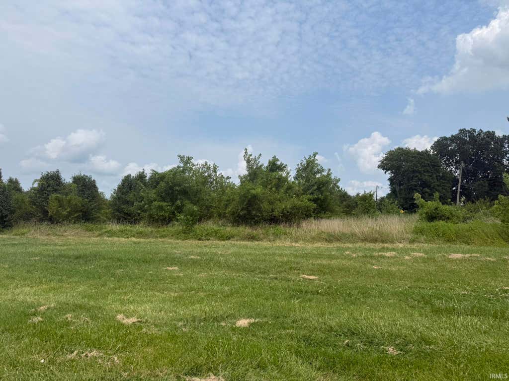 Photo of 0 N First Avenue, Evansville, IN 47710 (MLS # 202631769)
