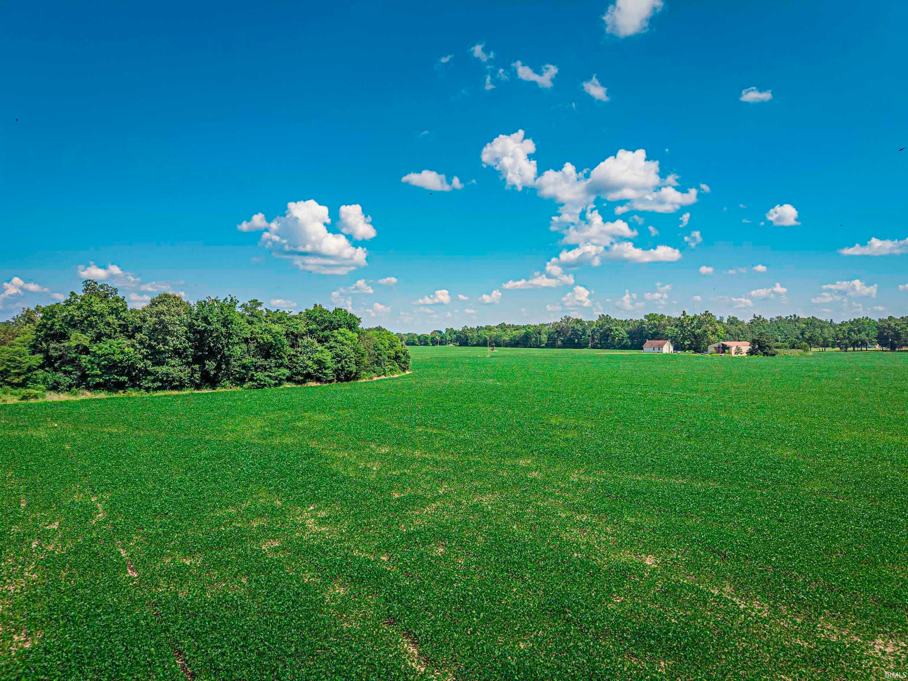 12691 Point Road, Mount Vernon, IN 47620 | MLS 202531261 | Listing ...