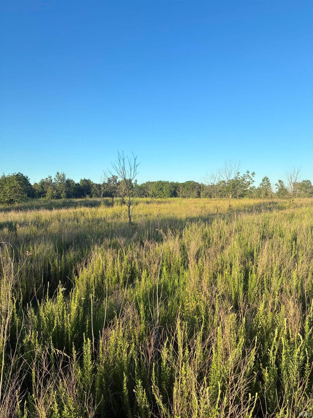 Photo of 0 Stanley Road, Elberfeld, IN 47613 (MLS # 202621629)