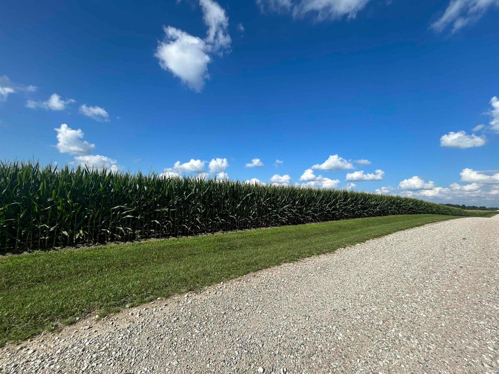 Photo of 10544 E 900 North Highway, Colfax, IN 46035 (MLS # 202631966)