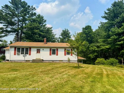Homes For Sale - 3687 County Route 9<br/> East Chatham, NY 12060