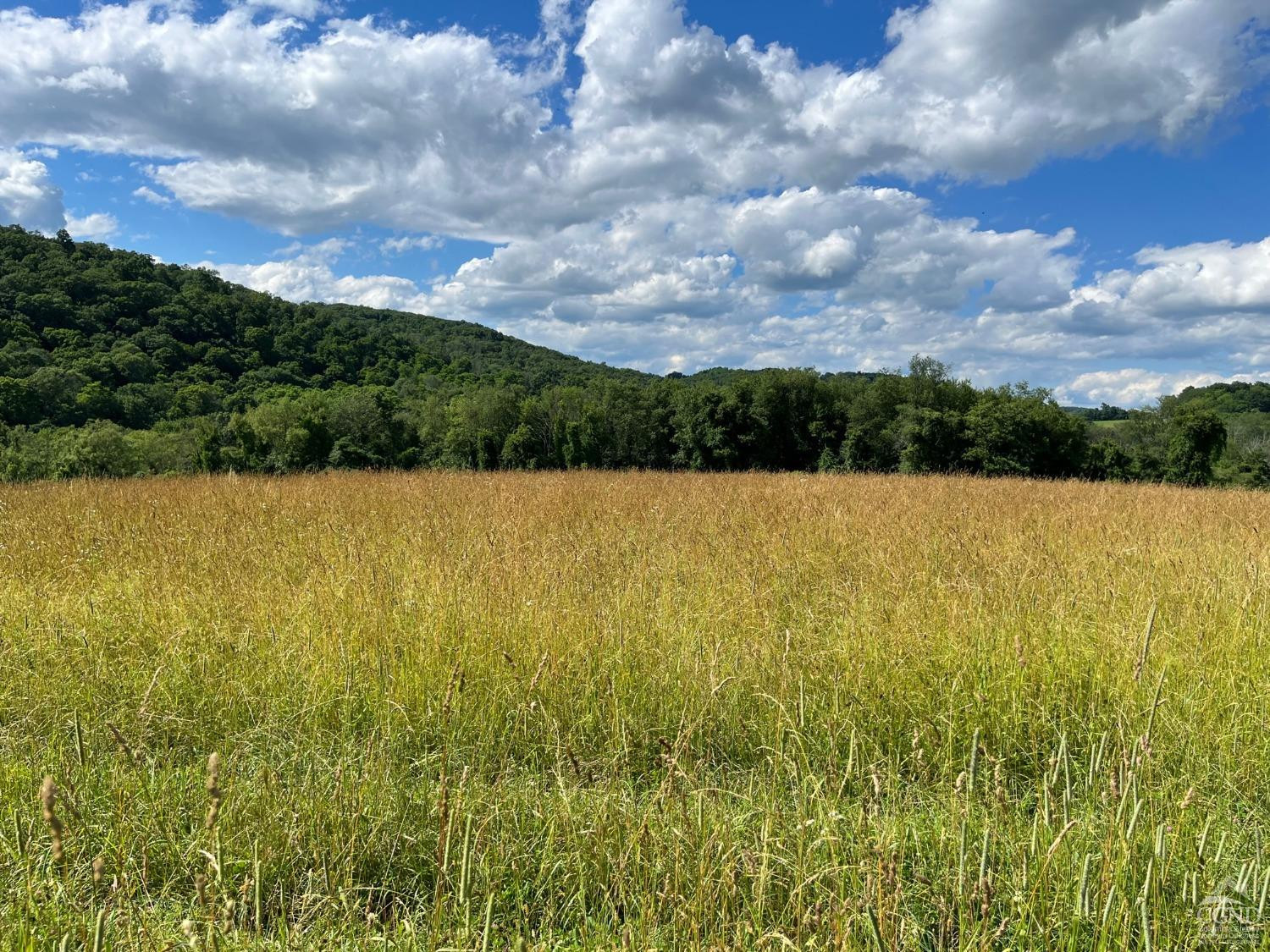 Perrys Corners Road, Amenia, New York image 15