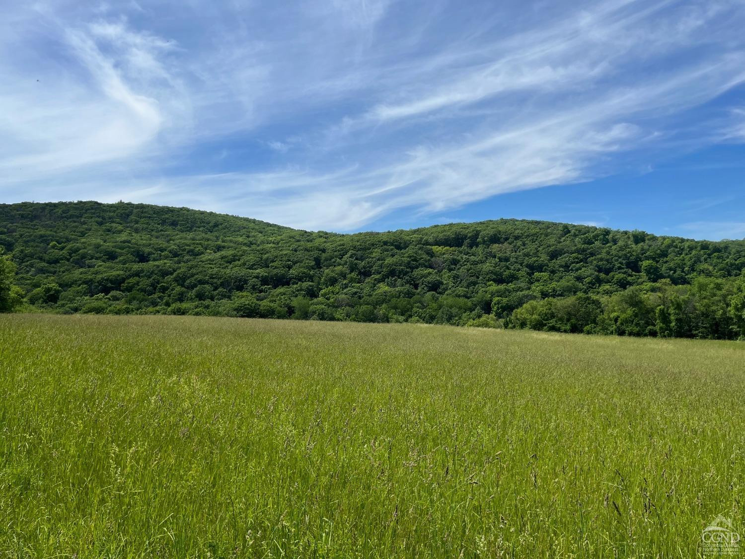 Perrys Corners Road, Amenia, New York image 11