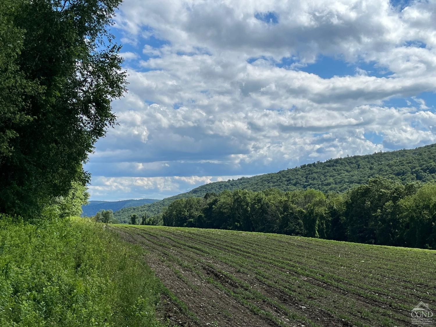 Perrys Corners Road, Amenia, New York image 14