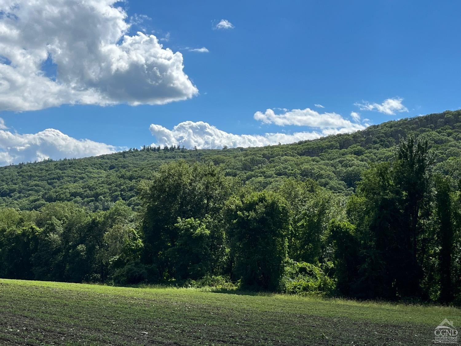 Perrys Corners Road, Amenia, New York image 13