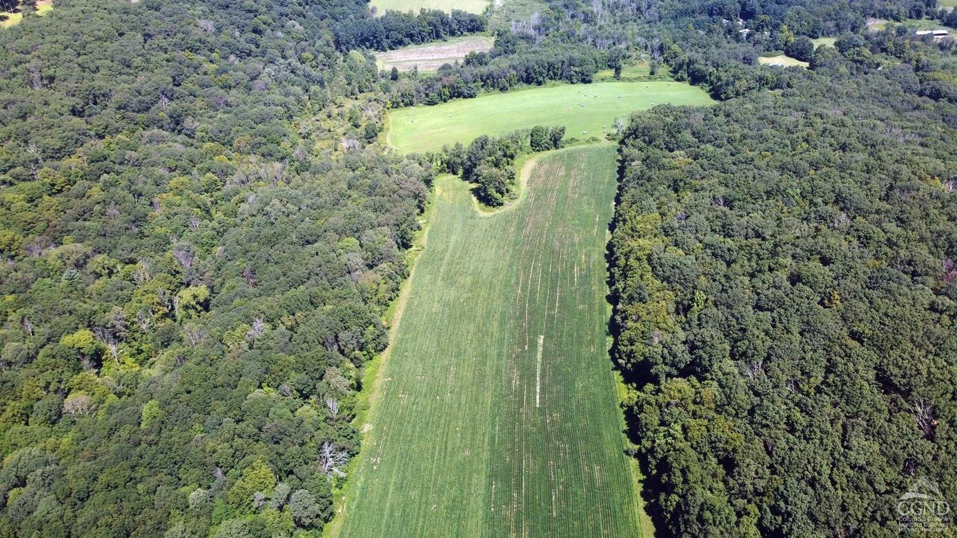 Perrys Corners Road, Amenia, New York image 10