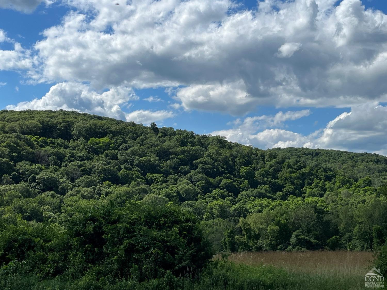 Perrys Corners Road, Amenia, New York image 12