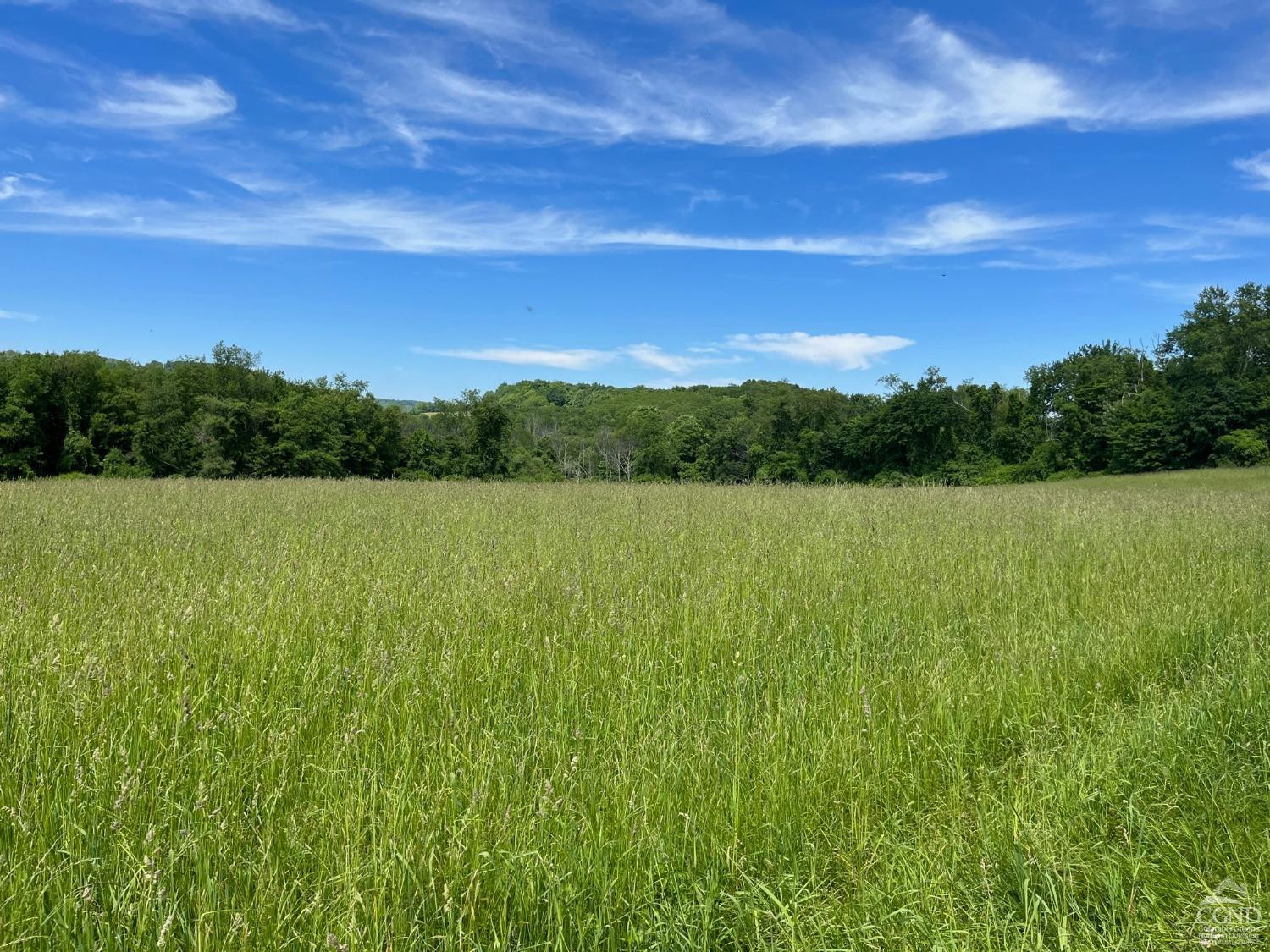 Perrys Corners Road, Amenia, New York image 5