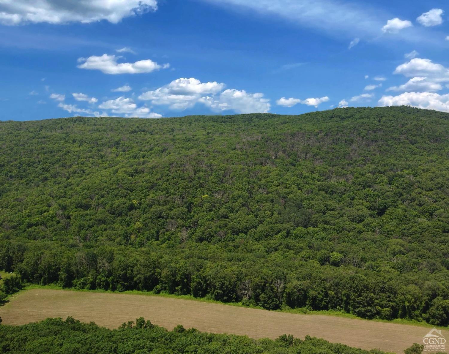Perrys Corners Road, Amenia, New York image 16