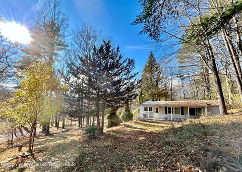 Photo of 335 Tempaloni Road, Spring Glen, NY 12483 (MLS # 20255616)