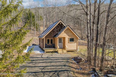 Photo of 191 Mill Road, Margaretville, NY 12455 (MLS # 20261224)
