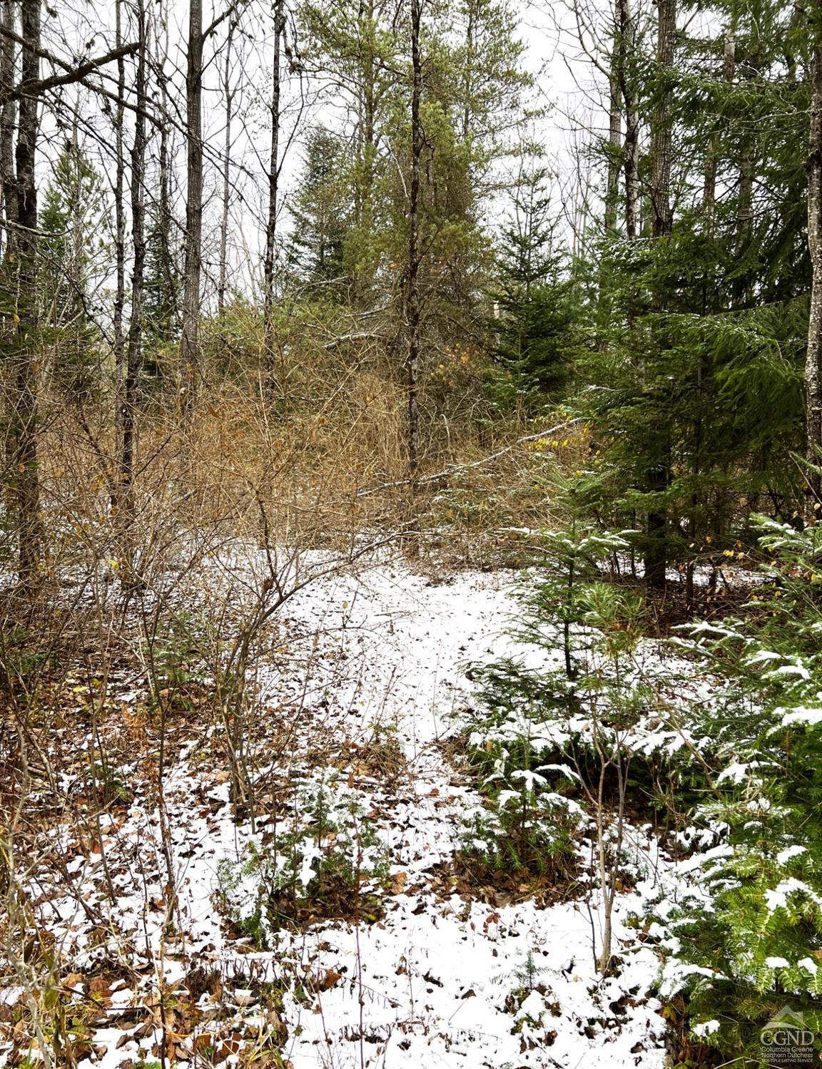 847 Curtiss Road, Little Falls, New York image 3