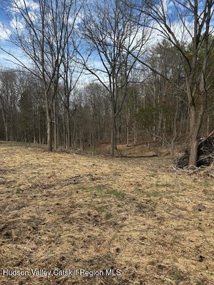 3 HIGH HILL RD, CATSKILL, NY 12414 - Image 072014361ca0188b7240917e7e5ee1e5/3987234289