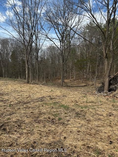 Vacant Land For Sale - LOT 3 High Falls Road<br/> Catskill, NY 12414