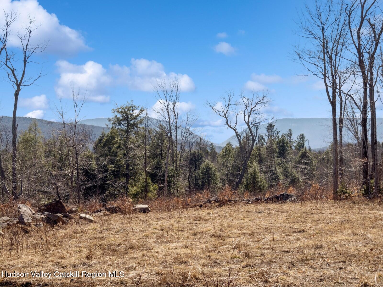 00 Legg Road #45, Tannersville, New Mexico image 10