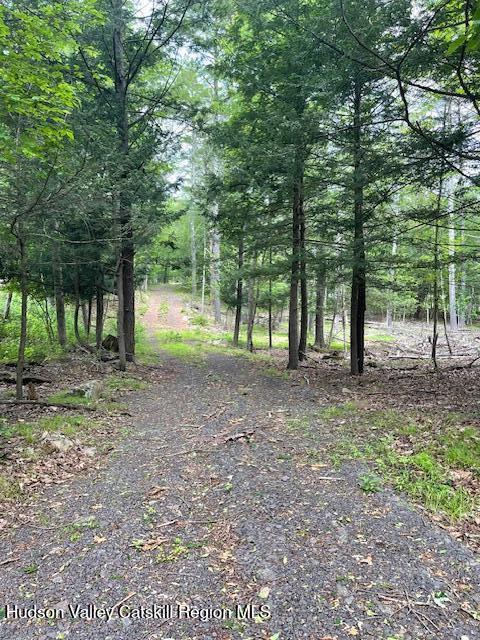 145 Frank Hitchcock Road, Cairo, New York -  - 