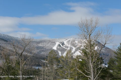 Vacant Land For Sale - LOT 1 Ruth Court<br/> Hunter, NY 12442