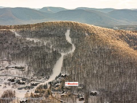 Homes For Sale - 7 Meadow Lane<br/> Windham, NY 12496