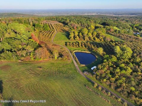 Vacant Land For Sale - LOT 1 Mountain View Drive<br/> Greene County, Coxsackie, NY 12051