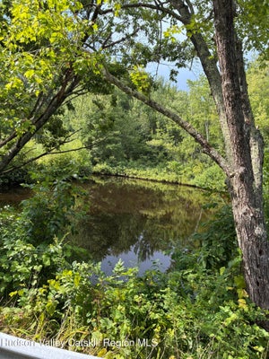207 PLEASANTVALE RD, TIVOLI, NY 12583 - Image 0d1c8cfbdd6f4e6b6ff0923e8146528c/4018985484