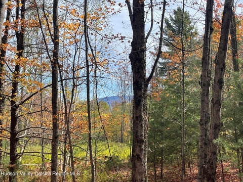 Vacant Land For Sale - Tower Mountain Road<br/> Jewett, NY 12444