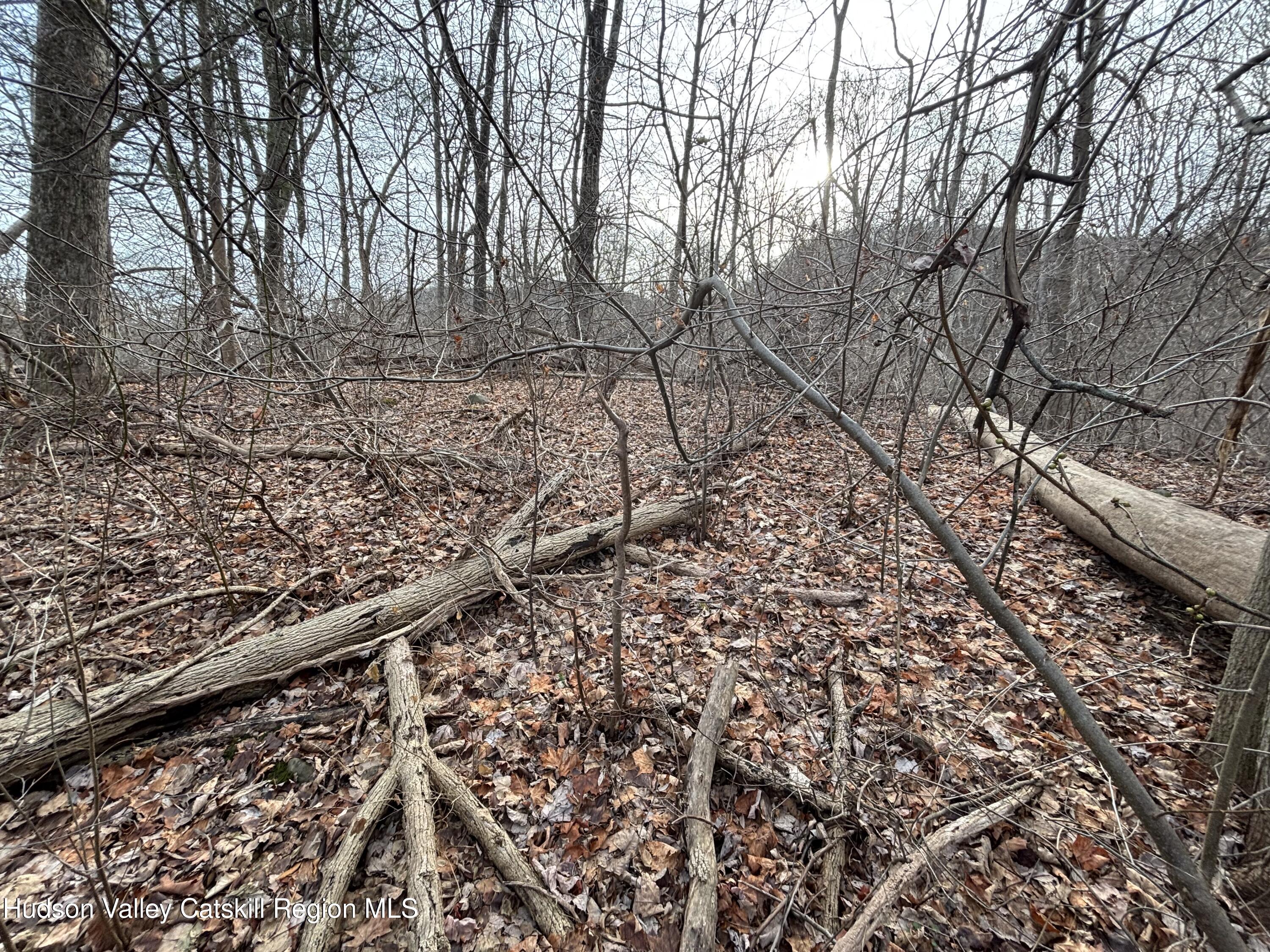 302 Union Center Road, Ulster Park, New York image 7