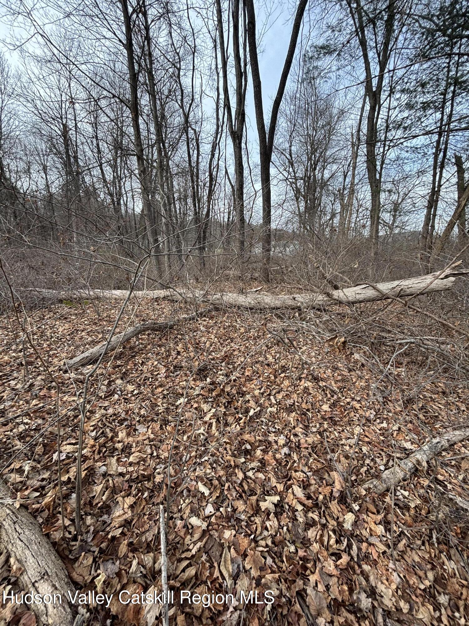 302 Union Center Road, Ulster Park, New York image 8