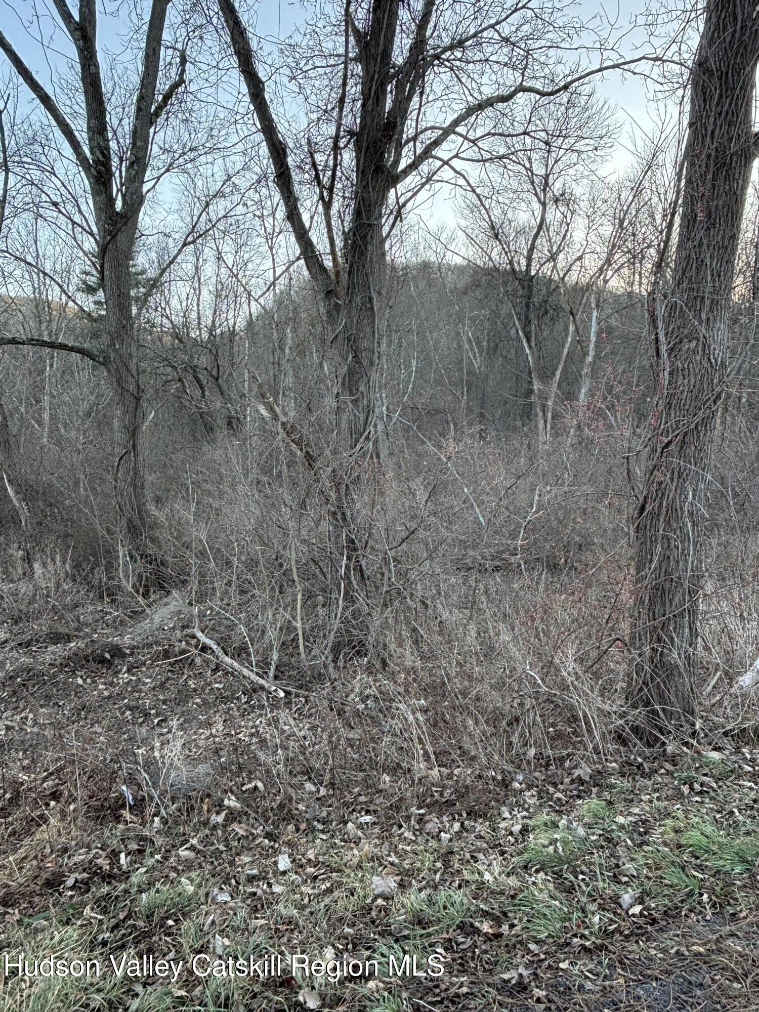 302 Union Center Road, Ulster Park, New York image 2