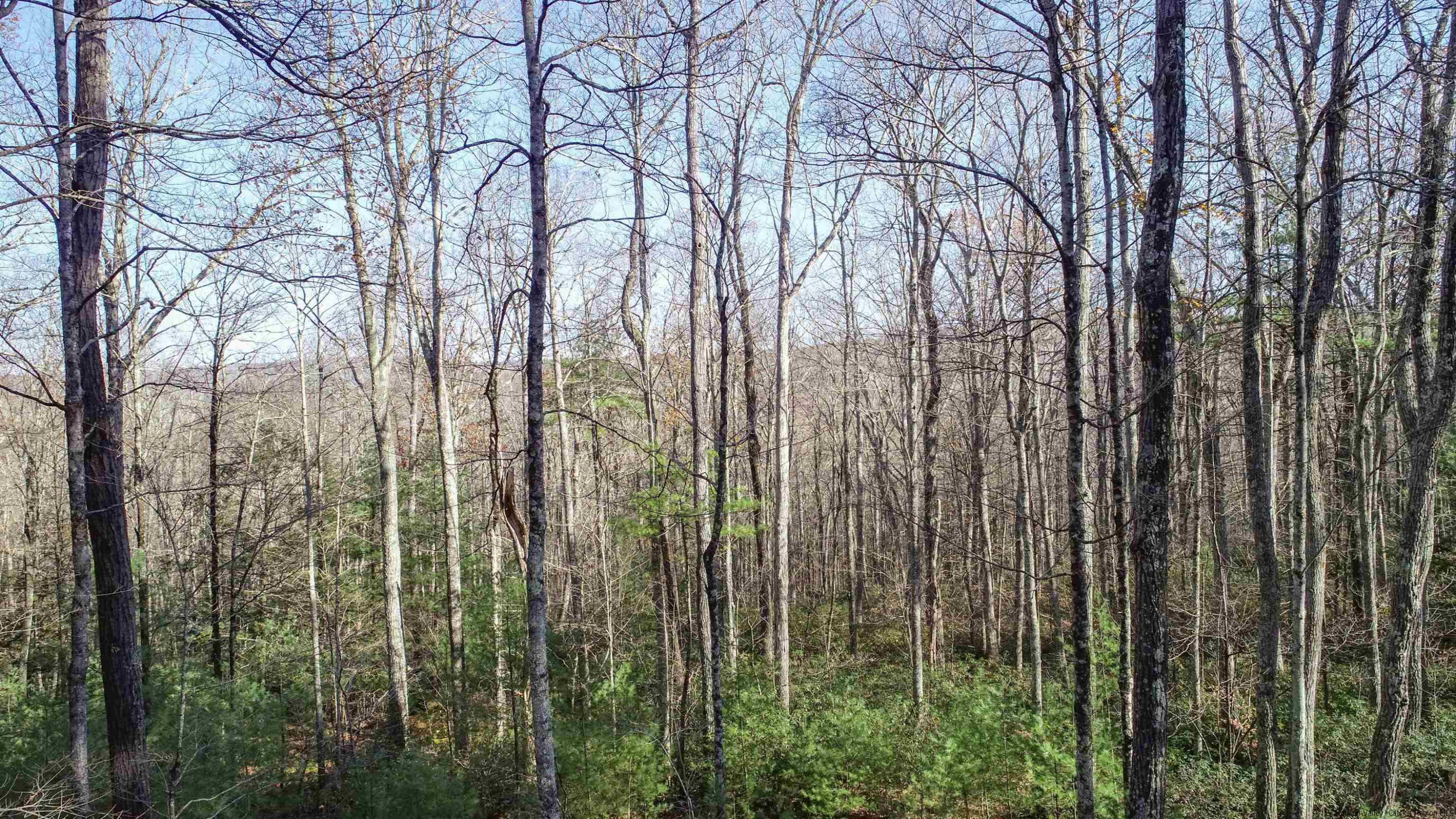 TBD Bennett Road, Wawarsing, Texas image 4