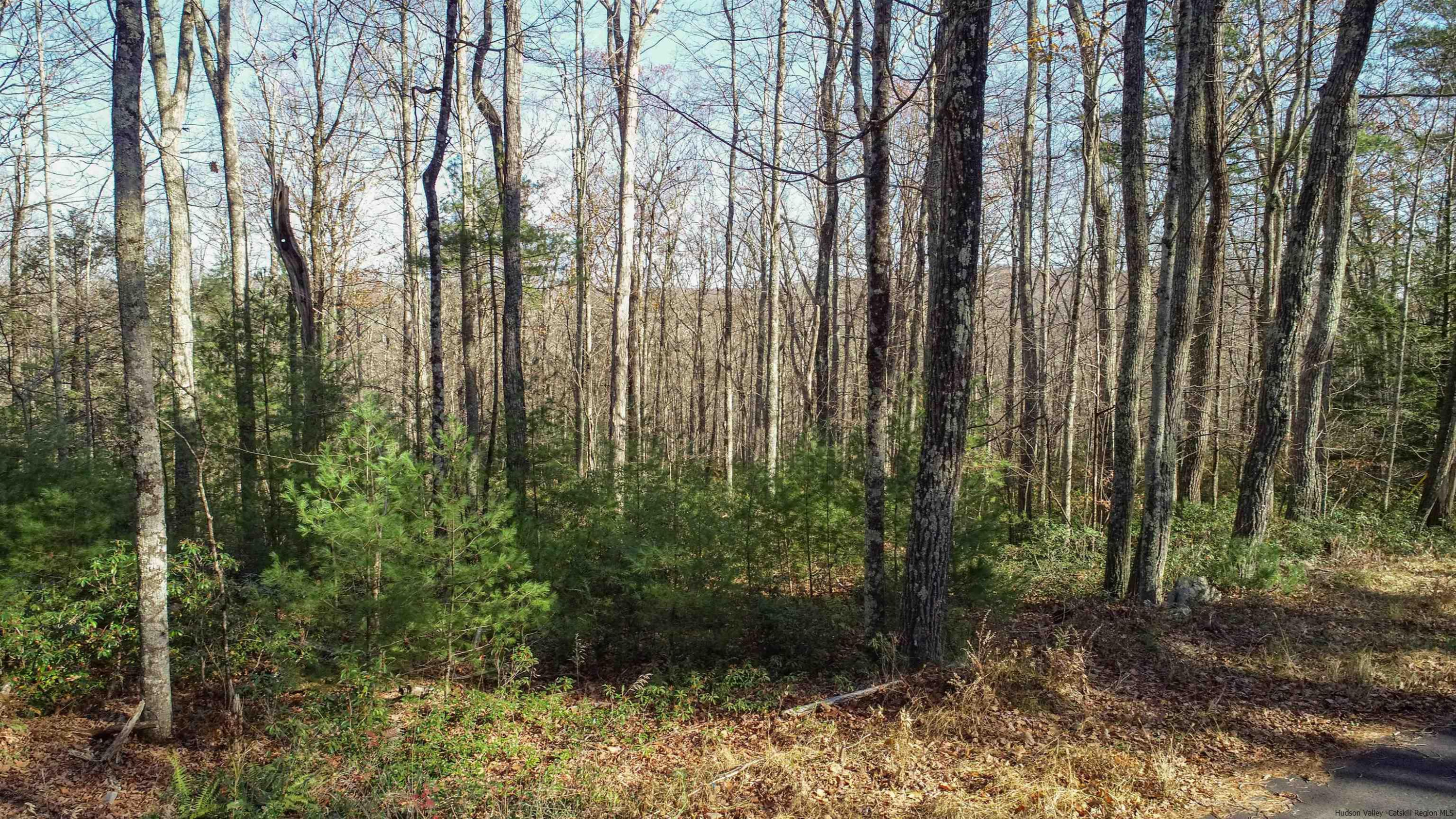 TBD Bennett Road, Wawarsing, Texas image 3