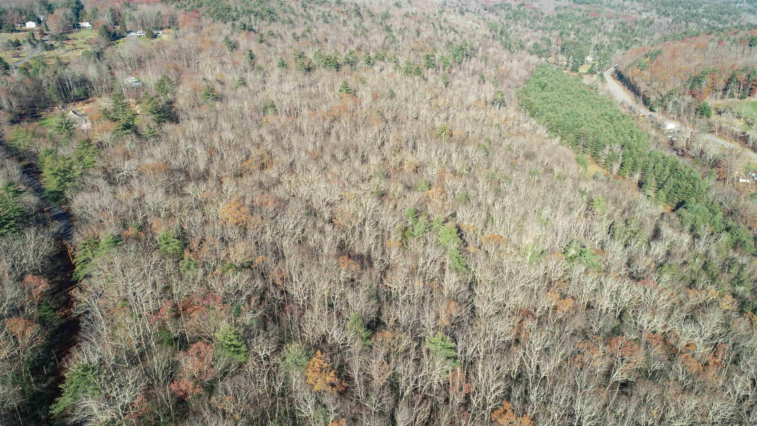 TBD Bennett Road, Wawarsing, Texas image 23