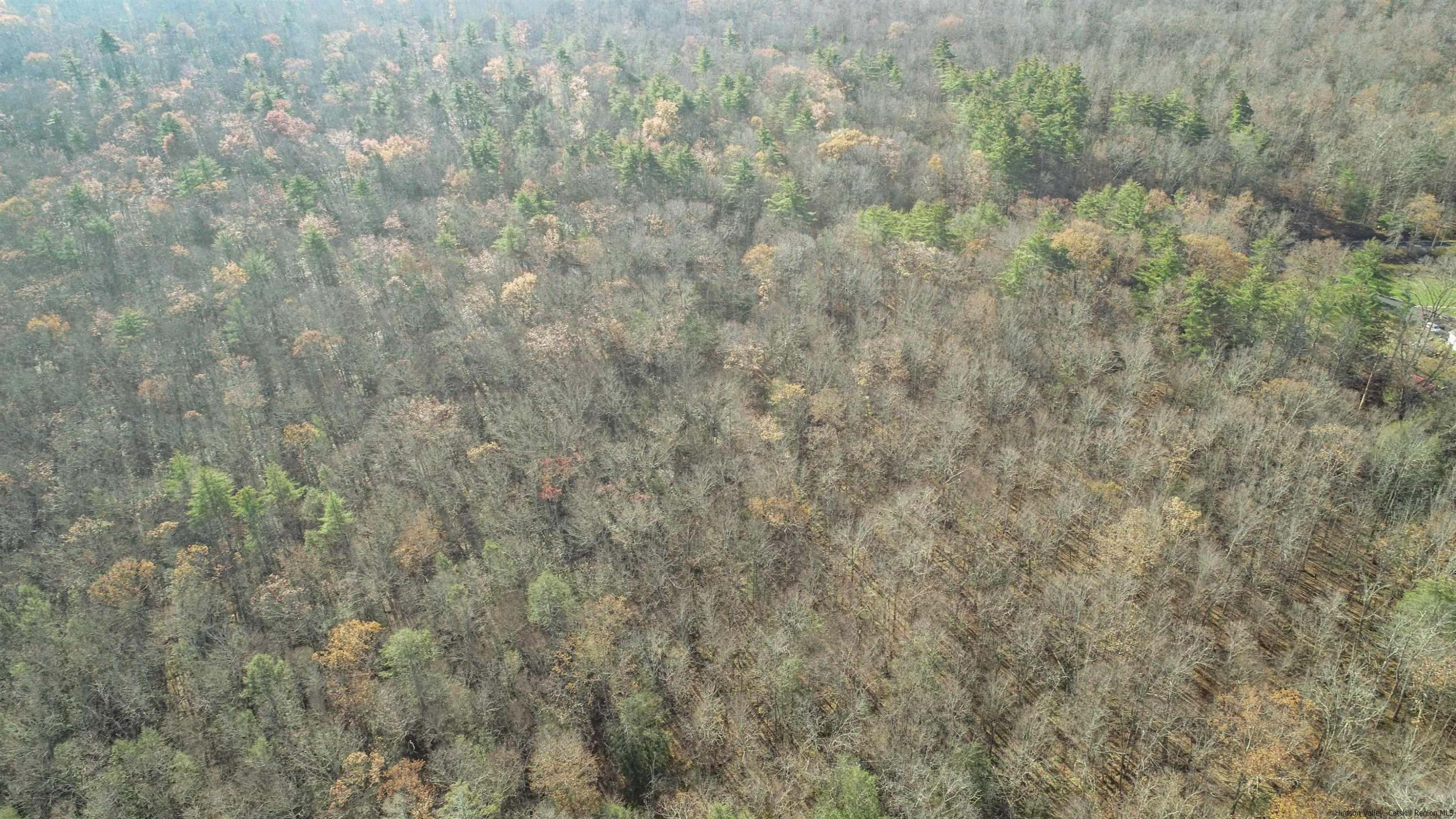 TBD Bennett Road, Wawarsing, Texas image 16