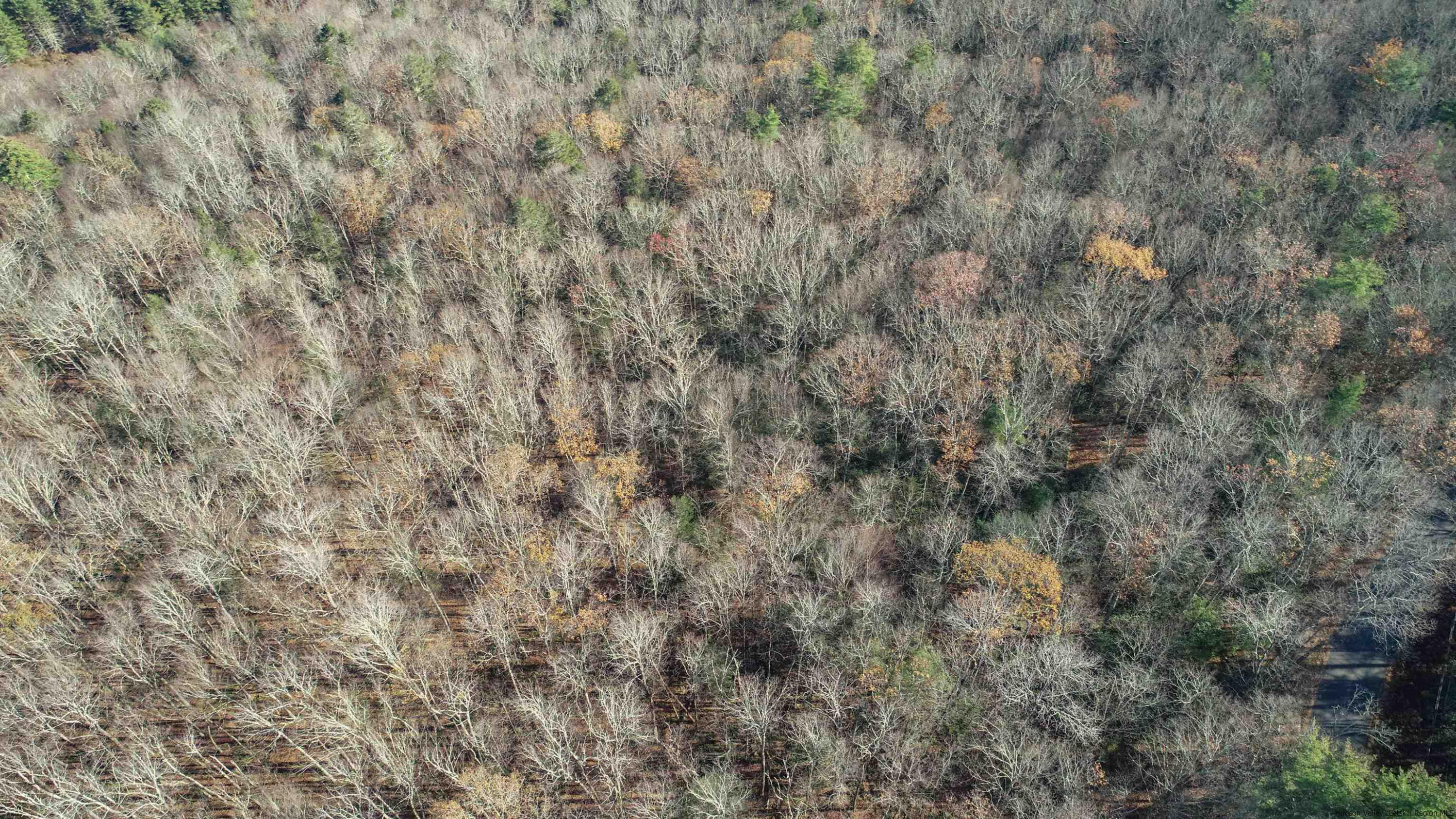 TBD Bennett Road, Wawarsing, Texas image 8
