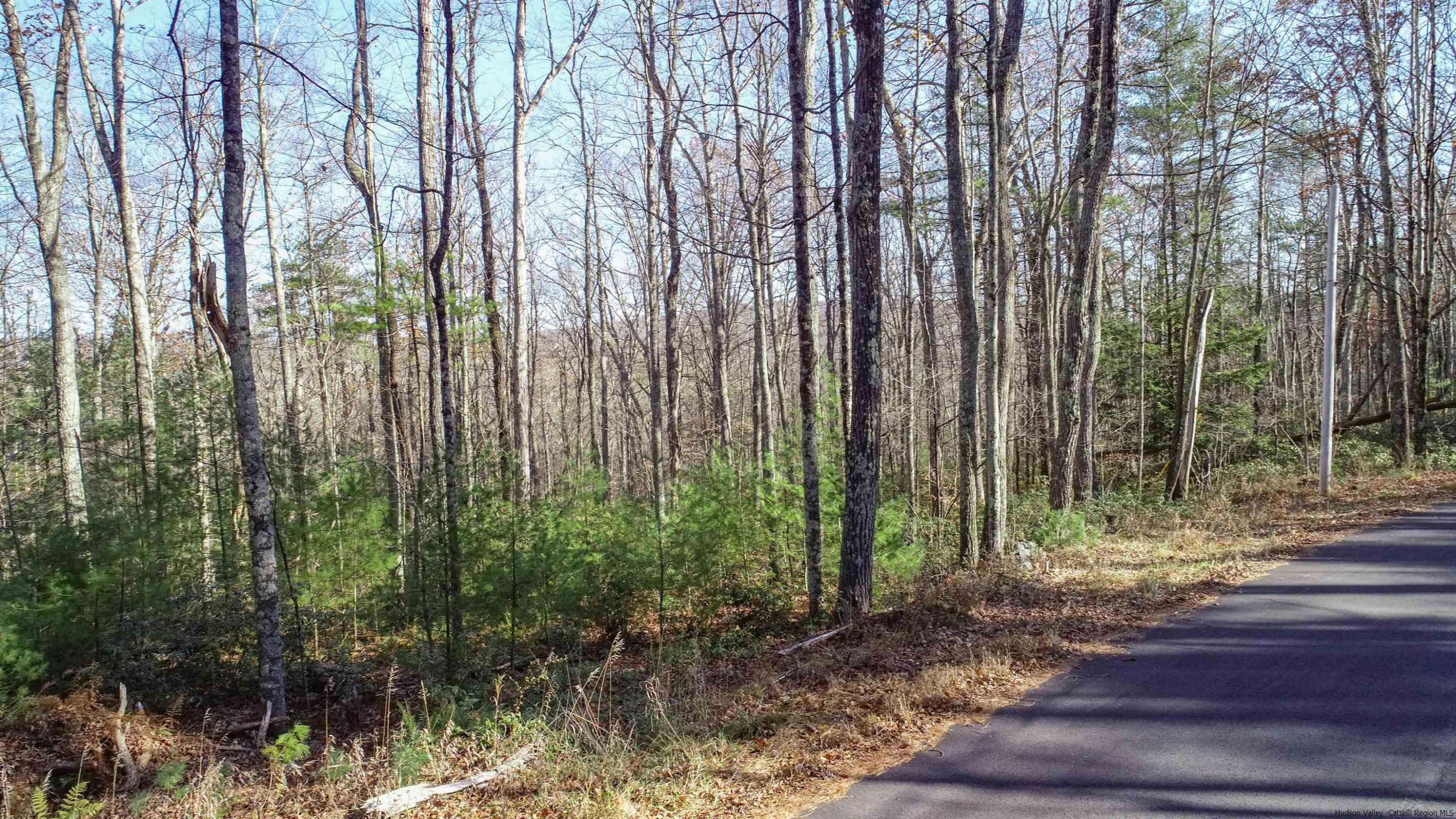TBD Bennett Road, Wawarsing, Texas image 2