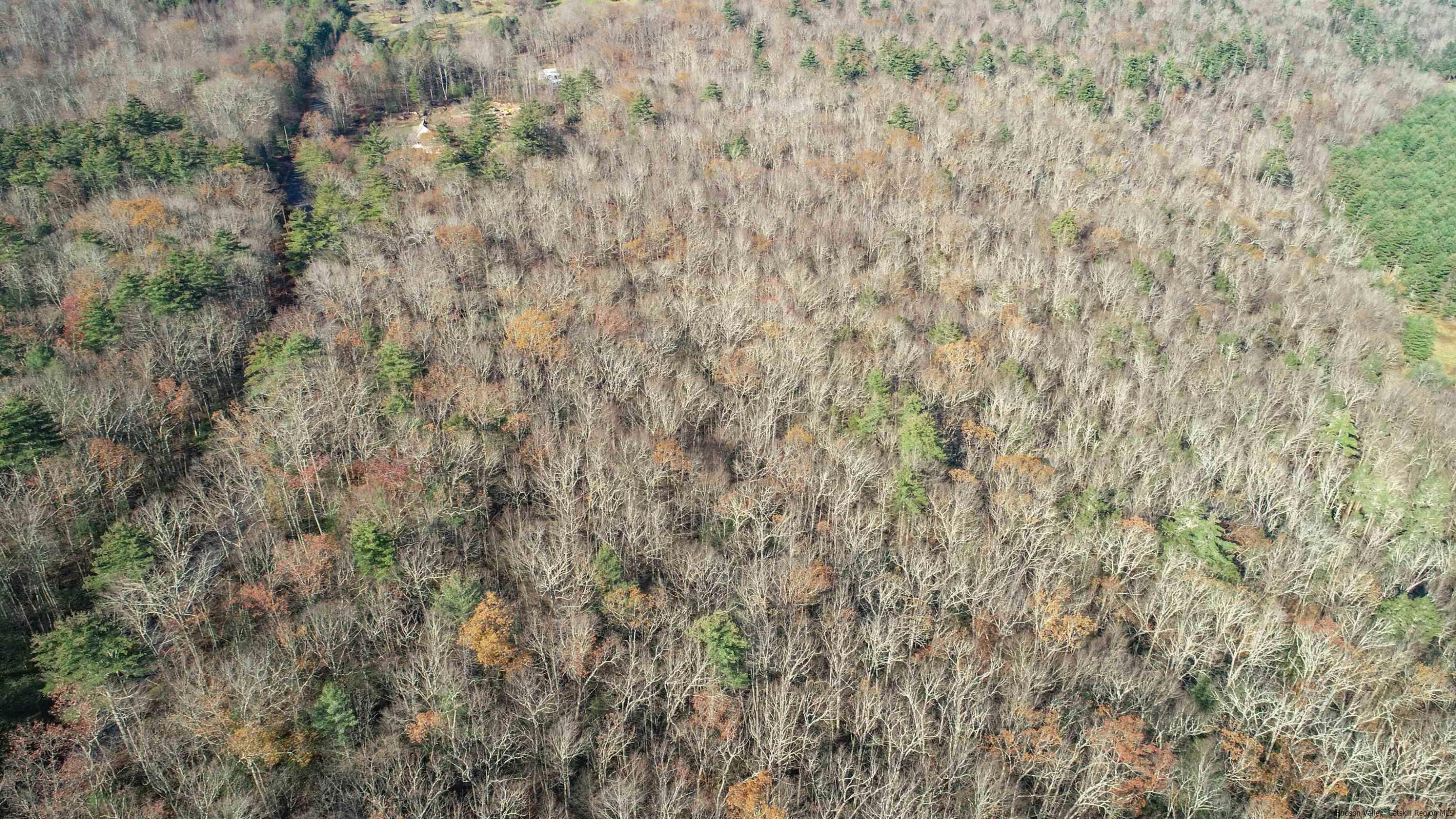 TBD Bennett Road, Wawarsing, Texas image 19