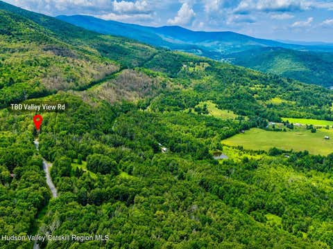 Vacant Land For Sale - TBD Valley View Road<br/> Lexington, NY 12452