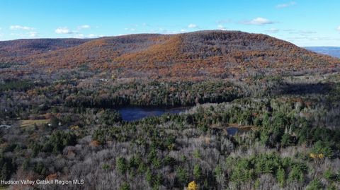 Vacant Land For Sale - High Peak Lot 111-112<br/> Windham, NY 12496