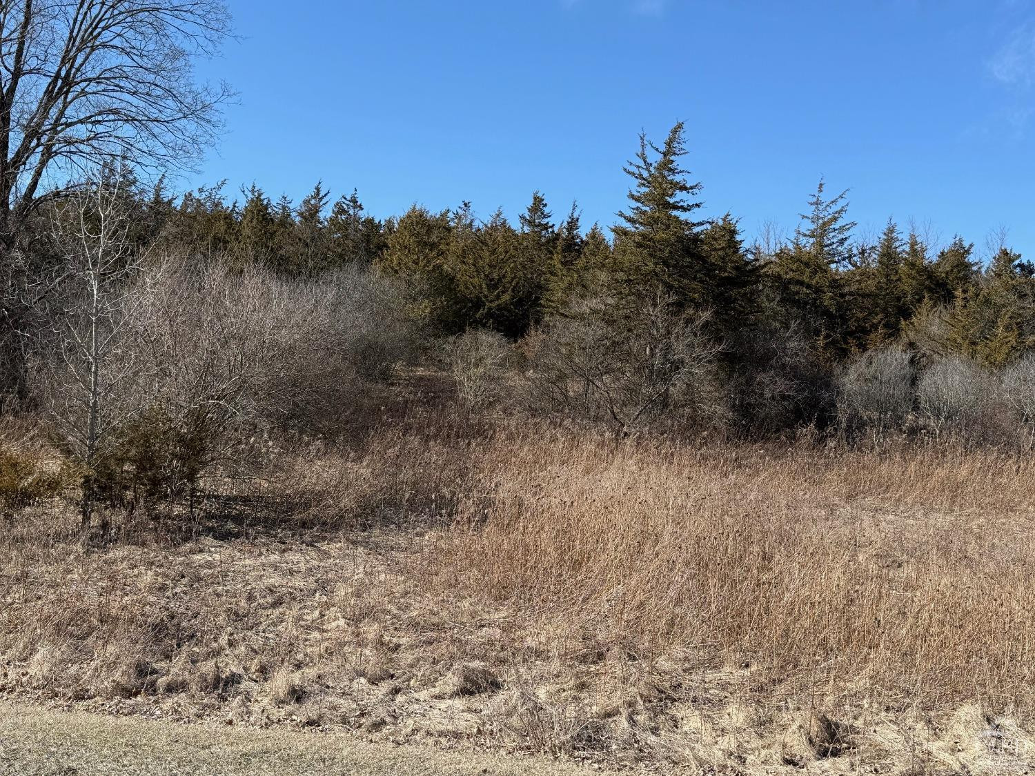 2 Westerly Ridge, Amenia, New York image 12
