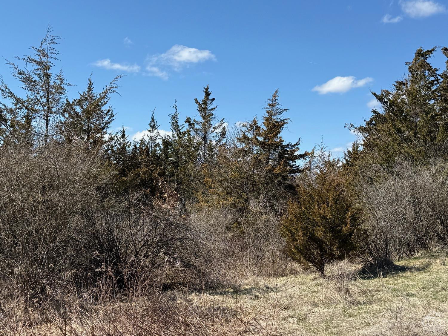 2 Westerly Ridge, Amenia, New York image 4