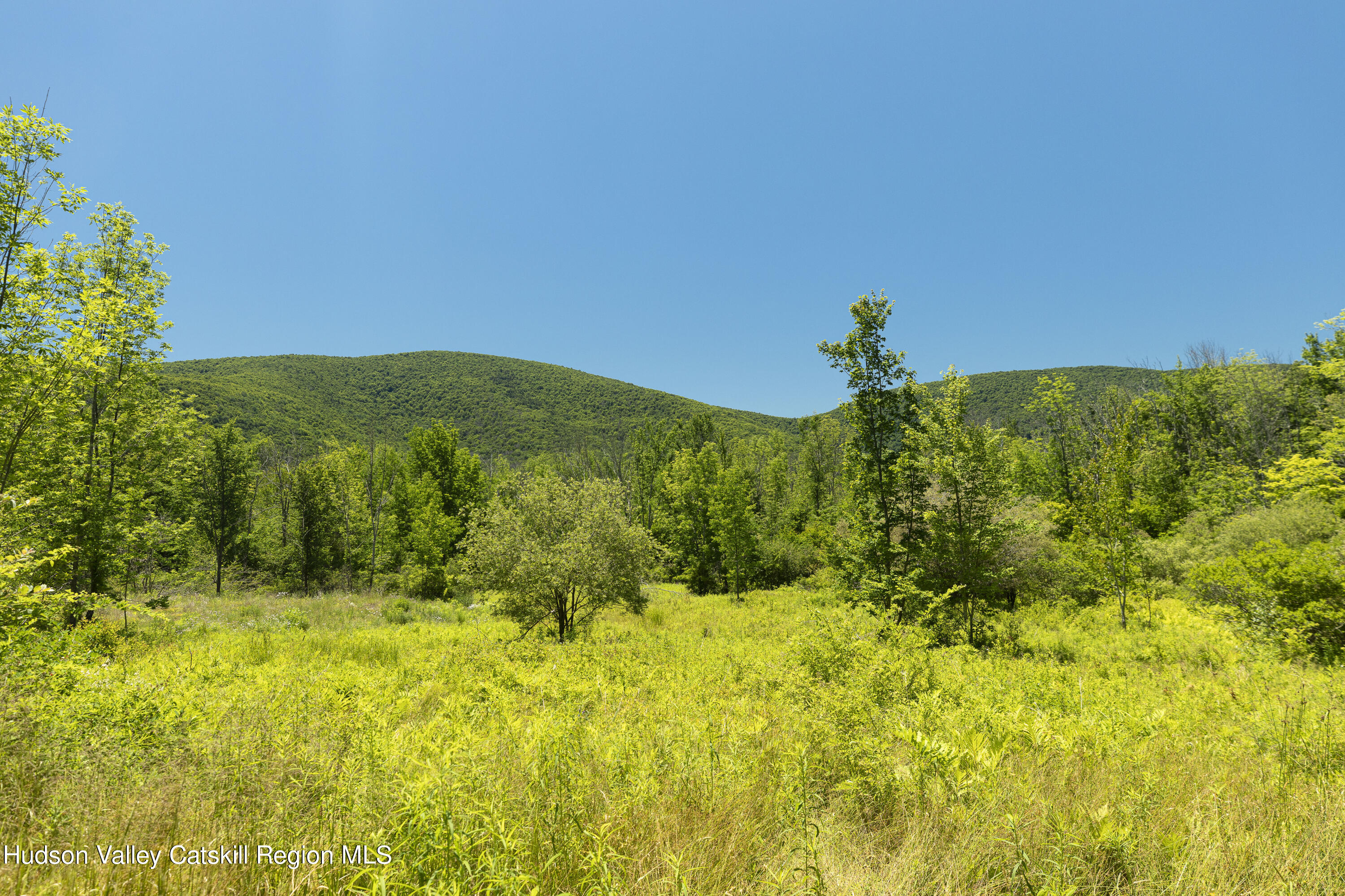 201 Cloos Road, Jewett, New York image 8