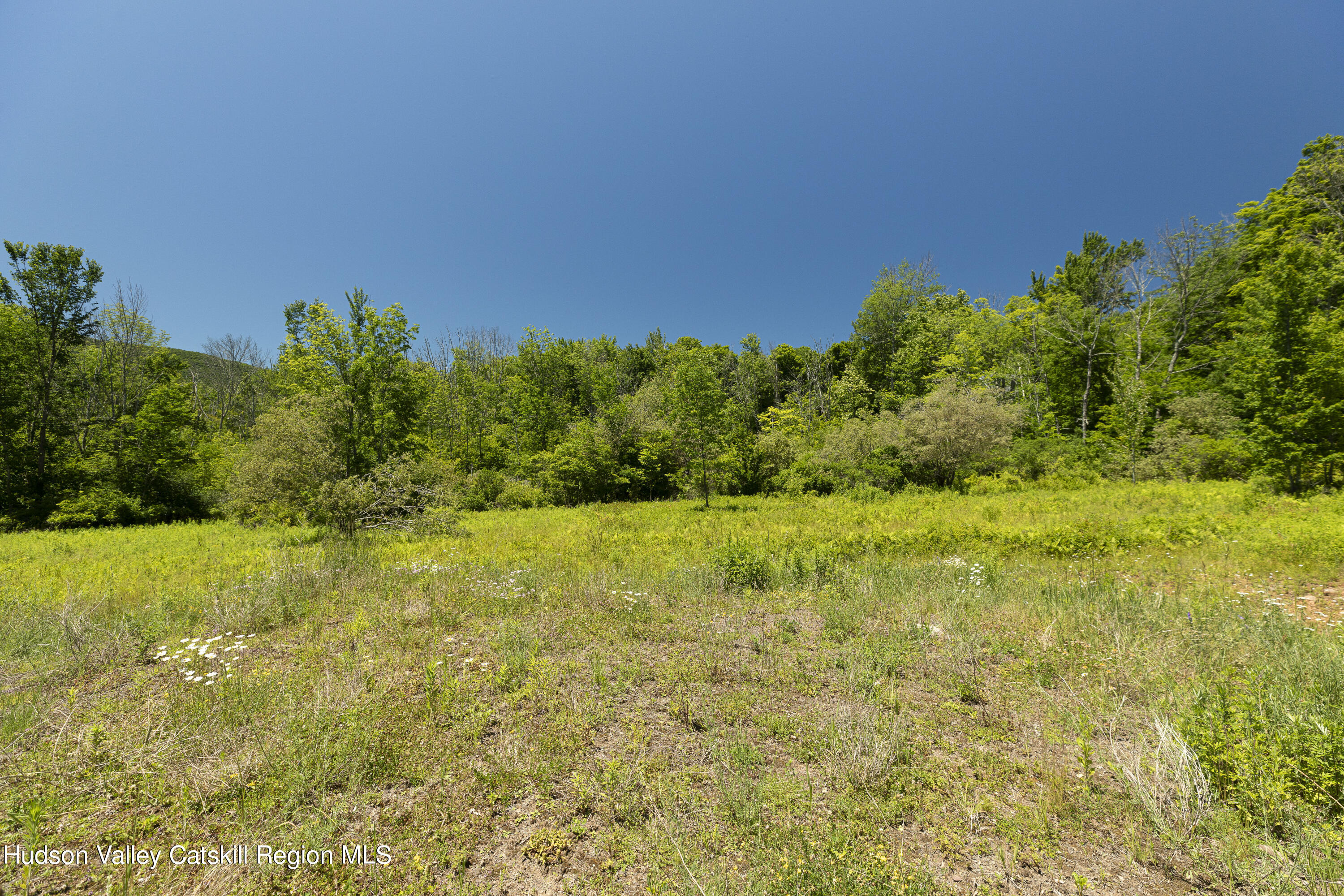 201 Cloos Road, Jewett, New York image 6