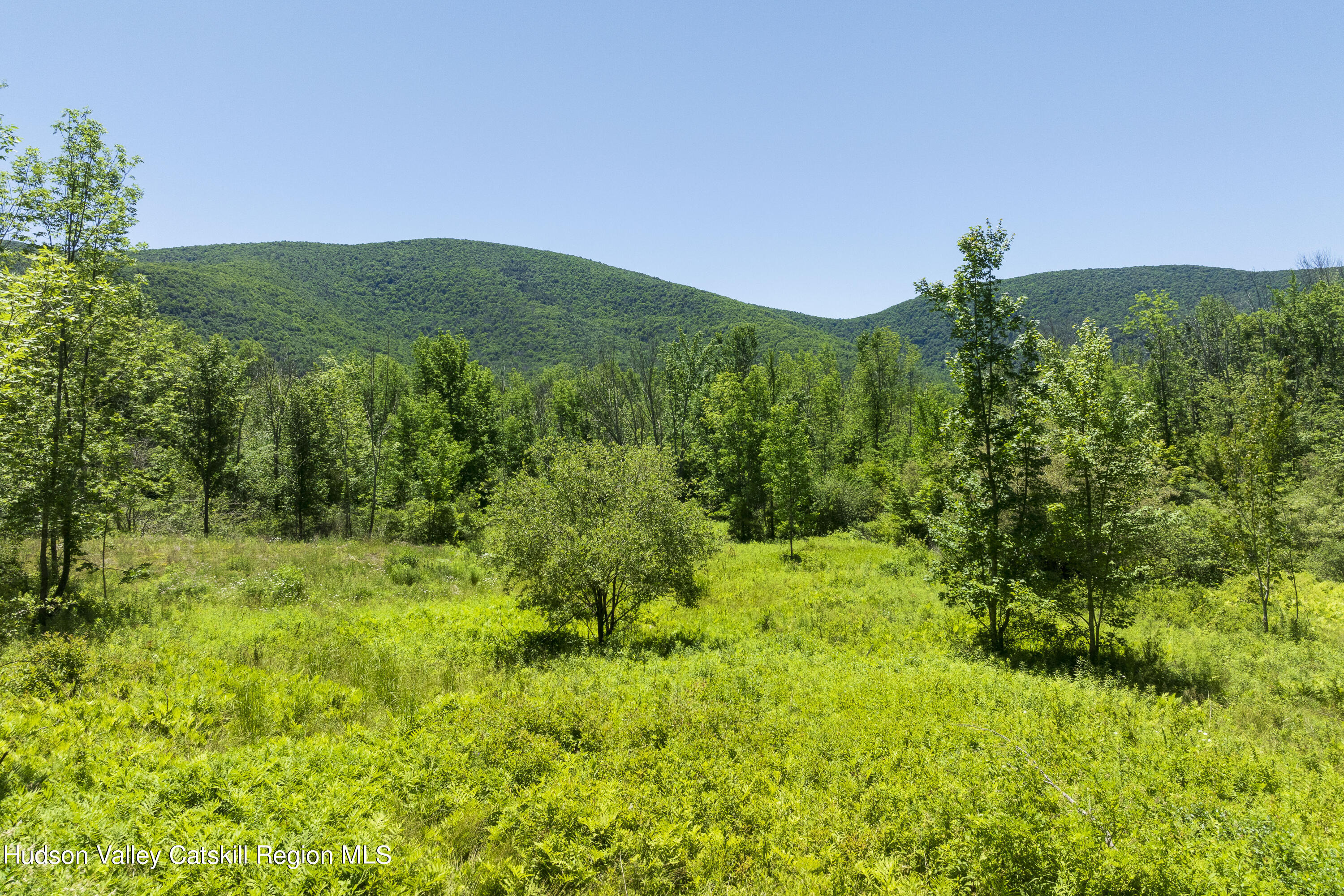201 Cloos Road, Jewett, New York image 1