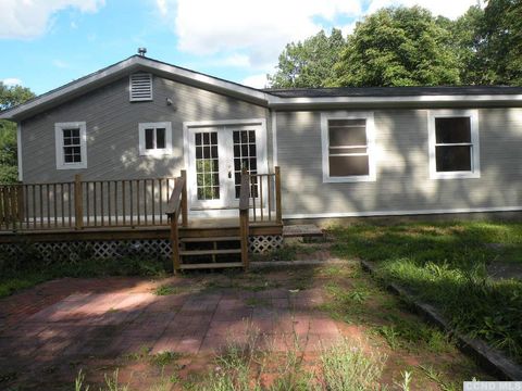 Photo of 618 Bean River Road, Pine Plains, NY 12567 (MLS # 20261661)