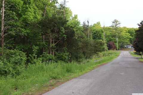 Vacant Land For Sale - Route 23<br/> Cairo, NY 12058