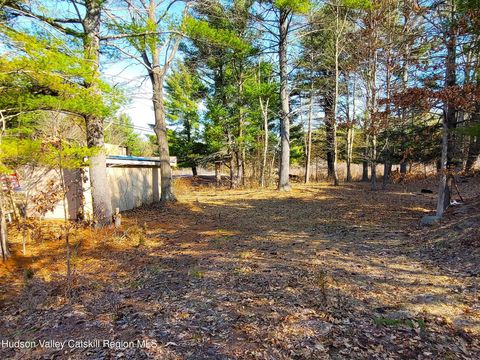 Vacant Land For Sale - 1230 West Road<br/> Greene County, Greenville, NY 12083