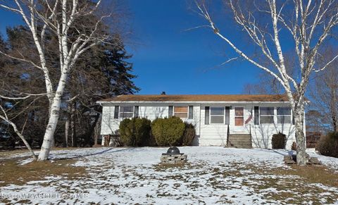 Photo of 334 Stonitch Road, East Durham, NY 12423 (MLS # 20260337)