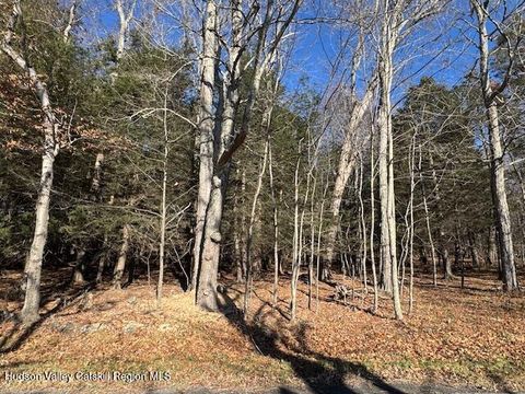 Vacant Land For Sale - TBD Park Road<br/> Lexington, NY 12452