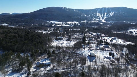 Vacant Land For Sale - Trail View Lane<br/> Windham, NY 12496